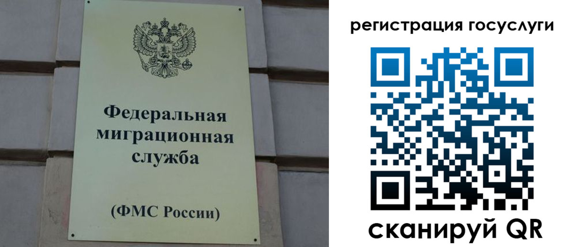 временная регистрация поиск в Люберцах